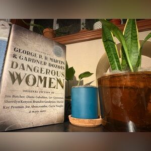 Dangerous Women, Original Fiction, edited by George R. R. Martin - hardback book